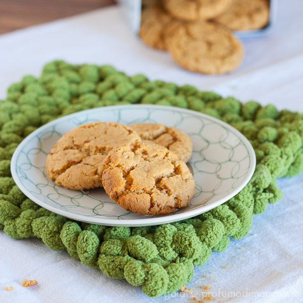 gingerCookie-0498