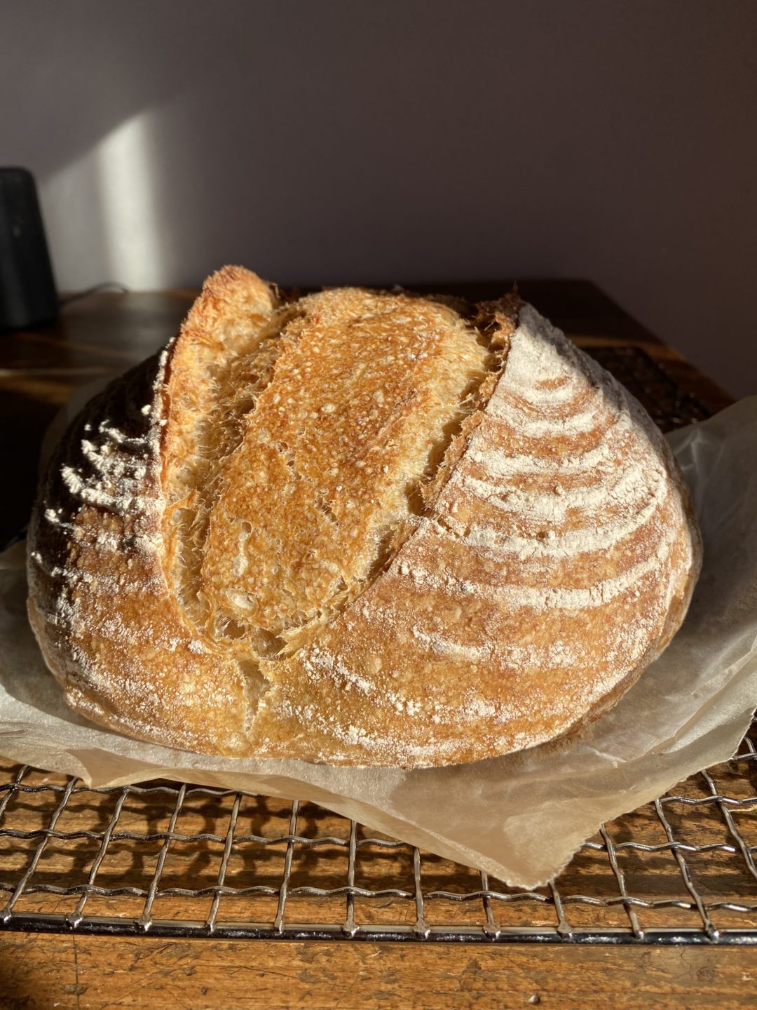 Immagine del Pane a lievitazione naturale